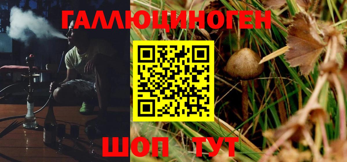 Галлюциногенные грибы MAGIC MUSHROOMS  Галлюциногенные грибы Psilocybe  Вход с VPN  Егорьевск 