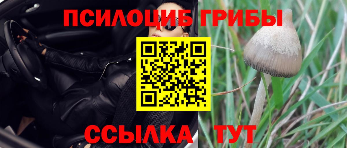Галлюциногенные грибы прущие грибы Егорьевск
