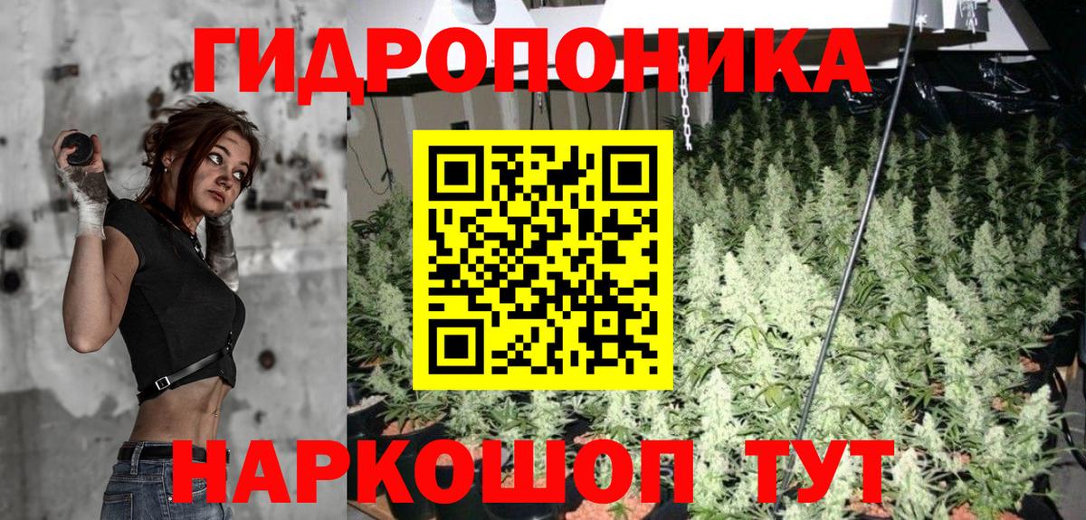 Бошки марихуана план  Вход с VPN  Егорьевск  Конопля индика 